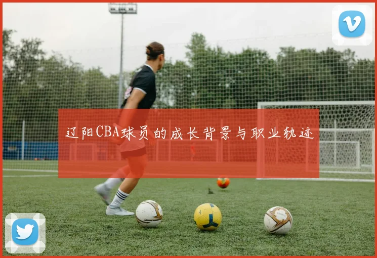 辽阳CBA球员的成长背景与职业轨迹