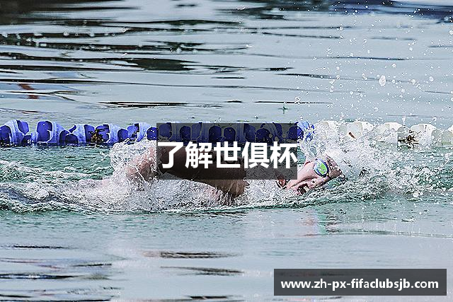 了解世俱杯